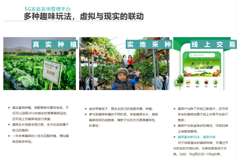朴门永续农业：创造一个自我维持的绿色家园