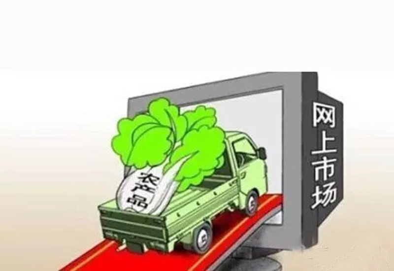 你是否曾经好奇，什么是真正的“有机农产品”？在现代农业蓬勃发展的今天，“有机”这个词似乎越来越频繁地出现在我们的视野中。那么，有机农产品到底意味着什么？我们通过几个具体的案例来深入探讨一下。